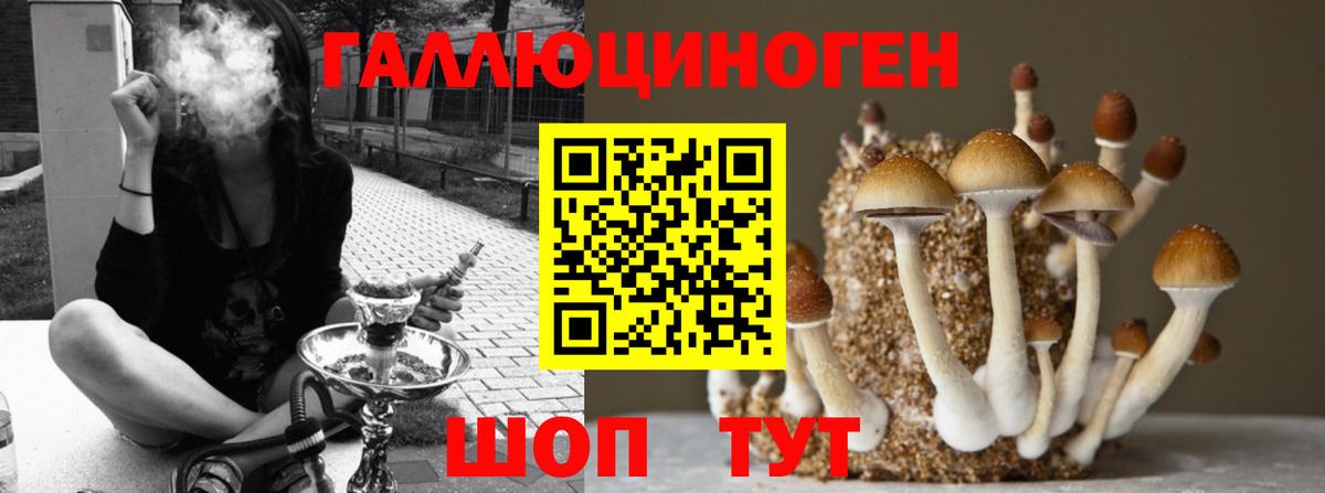 магазин продажи наркотиков  Галлюциногенные грибы мицелий  Вход с VPN  Сертолово 